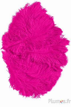 Strauss - 30-40 cm - fuchsia
